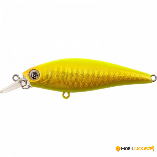   Lucky John X-Shad F 6 /E151