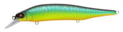  Megabass Ito Shiner Mat Tiger