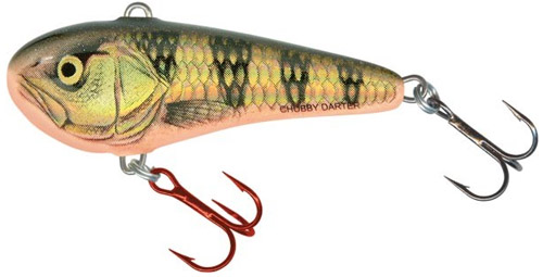  Salmo Chubby Darter CD5 GRP