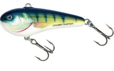  Salmo Chubby Darter CD6-PH