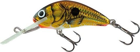   Salmo Hornet 3F / UVGS