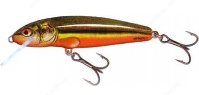  Salmo Minnow M6F RBD