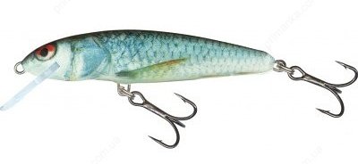  Salmo Minnow M6F RD