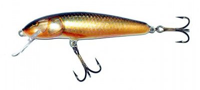  Salmo Minnow M6F RR