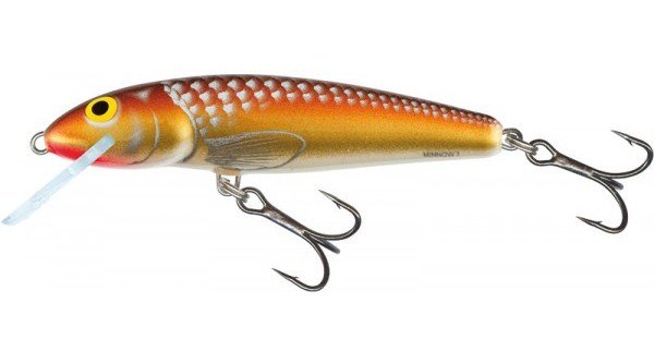  Salmo Minnow M6S GM