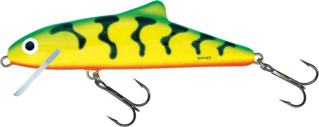  Salmo Skinner SK12F GT