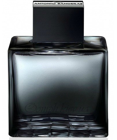     Antonio Banderas Seduction In Black 100 ml ()