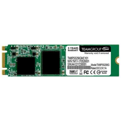  SSD Team M.2 2280 256GB (TM8PS5256GMC101)