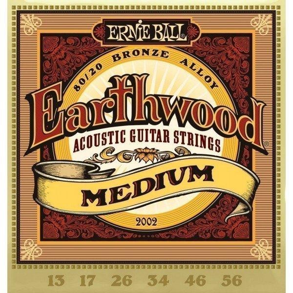     Ernie Ball 13-56 P02002