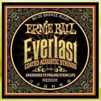     Ernie Ball 13-56 P02554