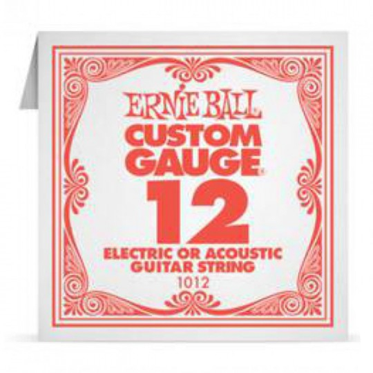   Ernie Ball P01012