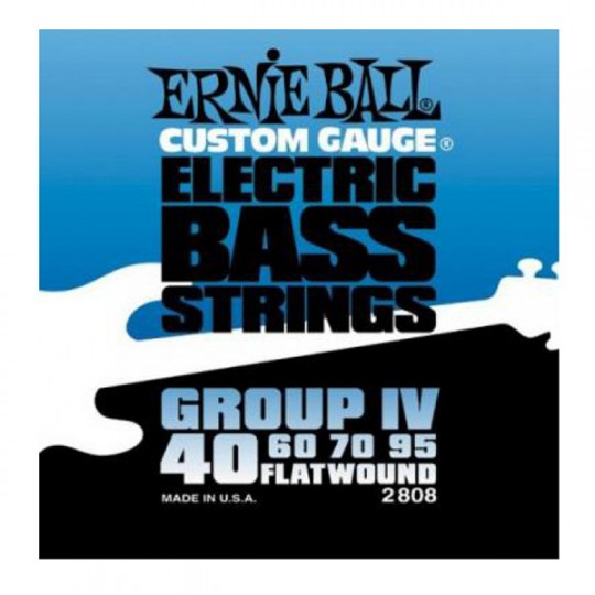   - Ernie Ball P02808