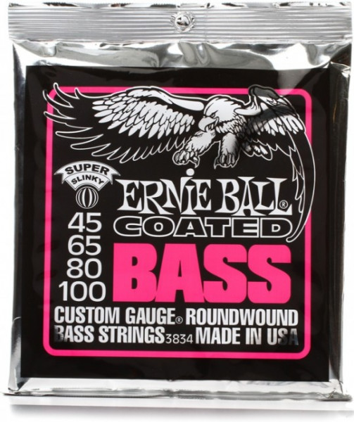   - Ernie Ball P03834