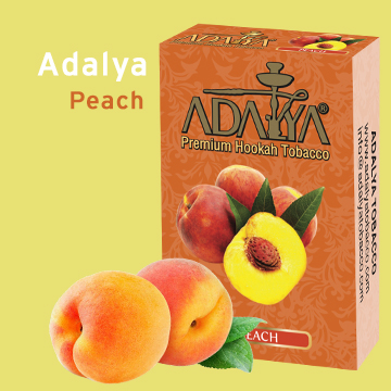  dalya Apricot () 50 .