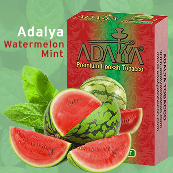  dalya Watermelon-Mint (  ) 50 .