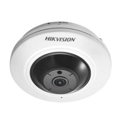   HikVision DS-2CD2942F-IS (21886)