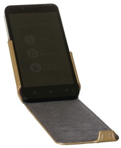  Red Point Lenovo Vibe C (A2020) Flip case Gold 4