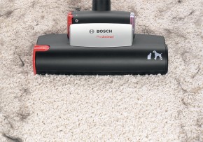  Bosch BGL45ZOO1 9