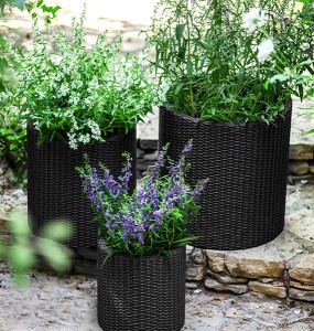     Time Eco Cylinder Planter Set  SMLG 6