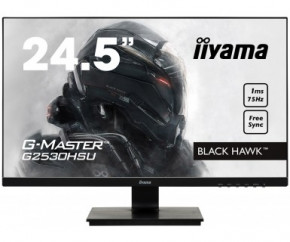  iiyama G2530HSU-B1