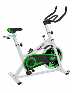  HouseFit Spin Bike (HB 8253)