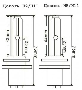   Infolight Expert/Xenotex H8-11 5000 5