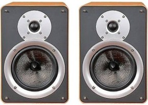   Acoustic Kingdom Giga Monitor II maple F-1ctn