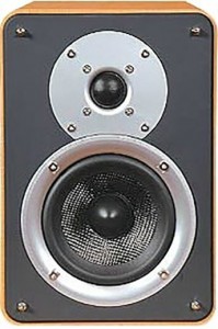   Acoustic Kingdom Giga Monitor I black ash S-1ctn