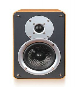   Acoustic Kingdom Giga Monitor I dark brown S-1ctn