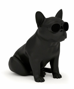   Jarre Aerobull XS Matt Black