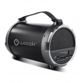  bluetooth  TTech Woozik S12 5