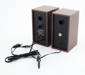  Esperanza Speakers EP122 Wood 4