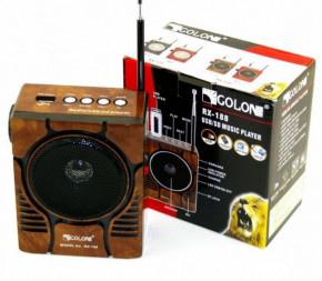   Golon RX-188 Mic Wooden 4