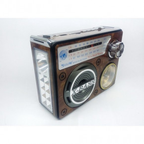  Golon RX/722LED    MP3D Wooden 3