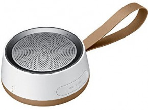  Samsung Scoop Outdoor Speaker Brown