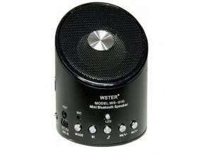   Wster WS-Q10 