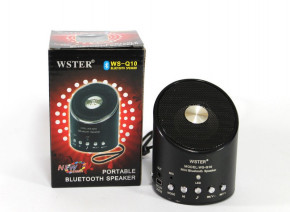   Wster WS-Q10  3