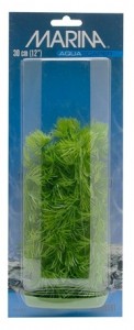   Hagen Hornwort 30 3