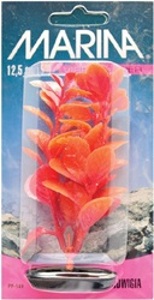   Hagen Red Ludwigia orange 30 3