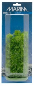   Hagen Hornwort 13 3