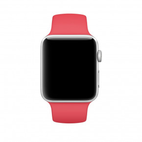  Apple Sport Band  Watch 42mm Raspberry Red(MRGW2)