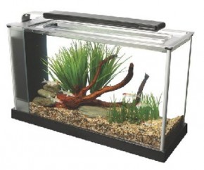  Hagen Fluval Spec V 19 