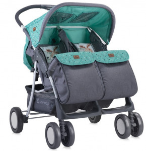    Bertoni Twin Greengrey friends