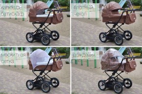   Tilly Family T-181 Beige 6