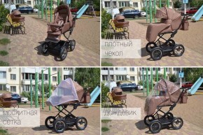   Tilly Family T-181 Brown 8