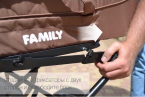   Tilly Family T-181 Brown 20