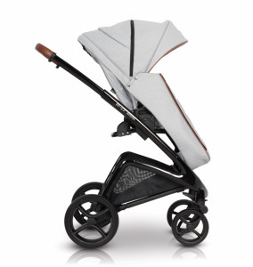  Euro cart Express grey fox  4