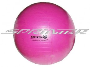    Sprinter Anti-burst Gym Ball D-55  (25147)