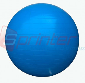    Sprinter Gym Ball D-55  (25149)