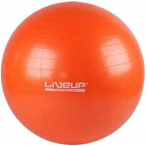  LiveUp Gym Ball LS3221-55o